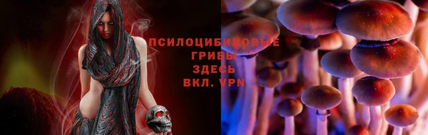 кокаин Алексеевка
