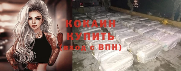 дживик Арсеньев